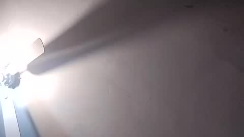 dixonbird41 online show from February 2025 06:20:01 PM