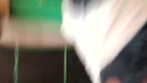 Snapshot of djdrex420 chatting on March 2026 11:33:01 PM djdrex420 online show from March 2026 11:33:01 PM