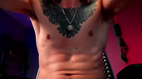 Snapshot of dl_raven chatting on February 2025 06:33:01 AM Silverhand online show from February 2025 06:33:01 AM