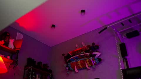 Snapshot of dl_raven chatting on March 2025 04:21:01 PM Silverhand online show from March 2025 04:21:01 PM