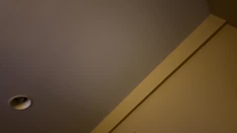 dnice69968127 online show from January 2025 09:02:01 PM