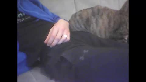 dodo28190 online show from January 2026 07:16:01 PM