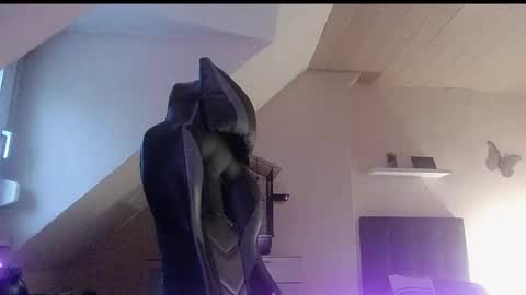 doggy2629 online show from January 2026 03:38:01 PM