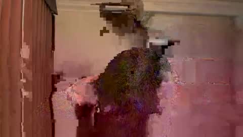 GIJO online show from March 2026 05:24:02 AM