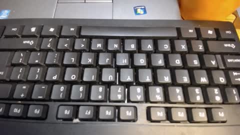 Bella online show from October 2025 08:03:01 AM