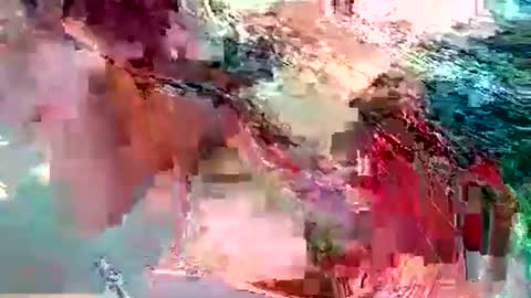 dolly_joana online show from November 2025 12:26:01 PM