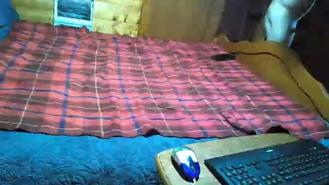 dolomois online show from February 2025 01:06:01 PM