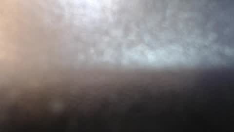 domenica online show from June 2026 12:30:01 PM