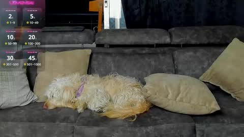 SANTI  independent model online show from February 2025 03:12:02 AM