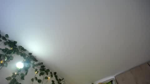 Snapshot of dominic_sofia chatting on June 2026 12:09:02 PM dominic_sofia online show from June 2026 12:09:02 PM