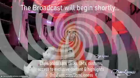 Snapshot of domlioness chatting on October 2025 11:17:01 PM DomLioness online show from October 2025 11:17:01 PM