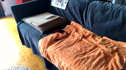 Alfredo online show from December 2024 10:50:02 AM