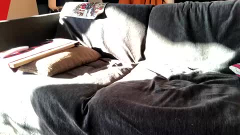 Alfredo online show from December 2024 11:44:02 AM