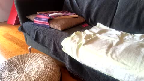 Alfredo online show from January 2025 09:02:02 AM