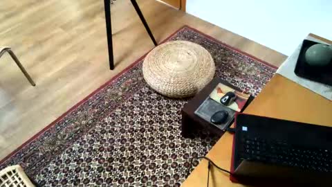 Alfredo online show from February 2025 02:24:01 PM