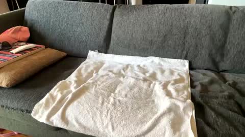 Alfredo online show from September 2025 10:27:01 AM