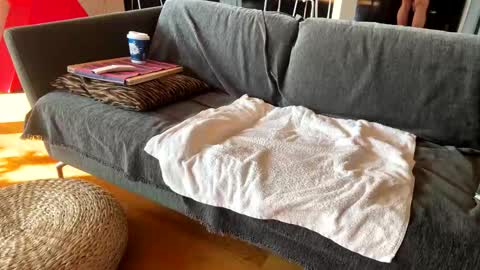 Alfredo online show from November 2025 10:58:02 AM