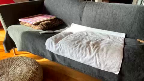 Alfredo online show from December 2025 11:19:01 AM