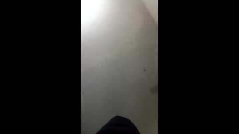 Snapshot of donkeykong34418301 chatting on March 2026 06:08:02 AM donkeykong34418301 online show from March 2026 06:08:02 AM