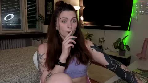 Snapshot of dorfmatratze_ chatting on May 2026 10:53:01 AM Alice online show from May 2026 10:53:01 AM