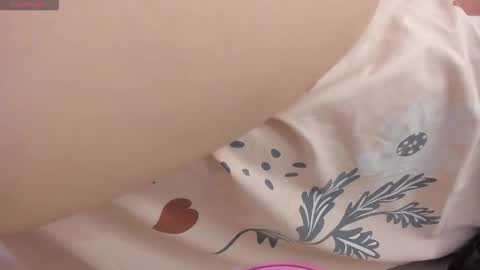  DOROTHY online show from February 2026 03:43:02 AM