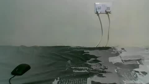 dortomel online show from October 2025 07:16:01 PM