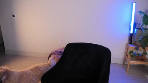 Sara online show from October 2025 02:36:02 AM