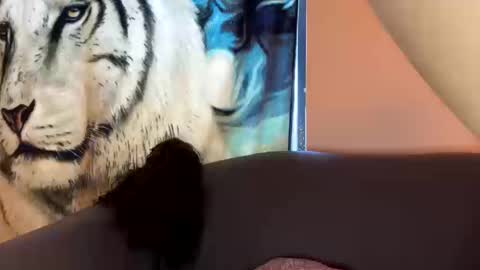 dove_love22 online show from October 2025 09:06:01 PM