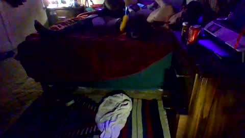 Driver Dick  Kylie Tits online show from February 2026 05:00:02 AM