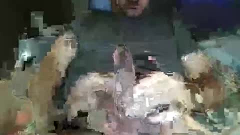 downtown831 online show from February 2026 05:28:02 AM