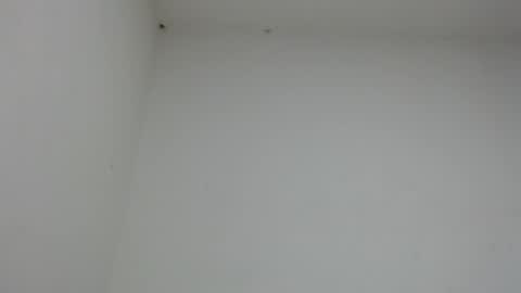 drako_monstercock online show from January 2026 10:46:01 PM