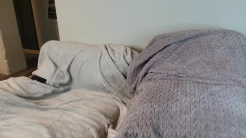 Draya Nicole online show from December 2024 11:08:02 AM