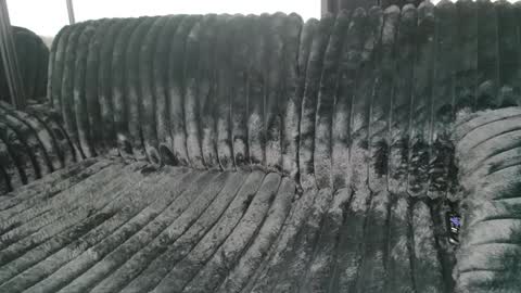 Draya Nicole online show from March 2025 11:25:02 AM