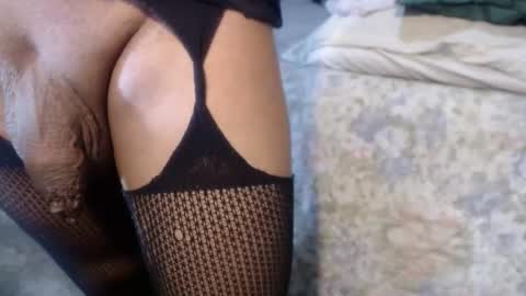 dreamreal online show from September 2025 11:11:01 AM