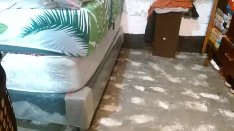 dreamreal online show from March 2026 11:32:02 AM