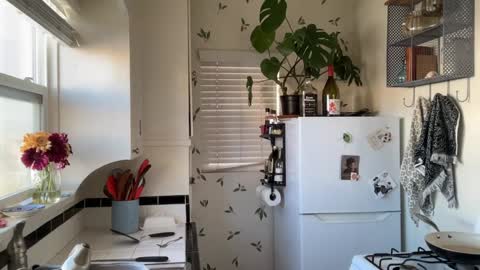 RIRI OR DREAMY online show from December 2024 07:30:02 PM