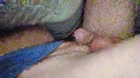 drew8649890274 online show from November 2025 03:41:01 AM