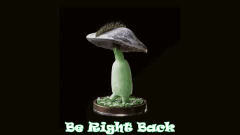 Tara  Sonny online show from February 2025 03:18:02 AM