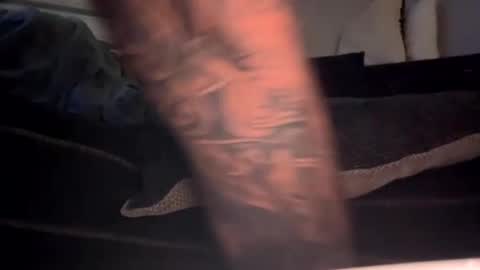 drippinggenie online show from January 2025 11:25:01 AM