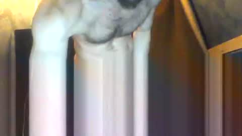 drippydickboy online show from February 2026 09:19:01 PM