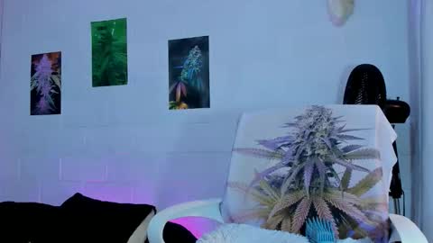 Snapshot of drippyorlove chatting on March 2026 08:22:02 PM drippyorlove online show from March 2026 08:22:02 PM