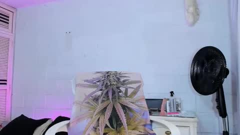 drippyorlove online show from April 2026 08:28:02 PM