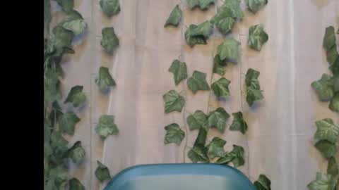 linda online show from September 2025 08:08:02 PM