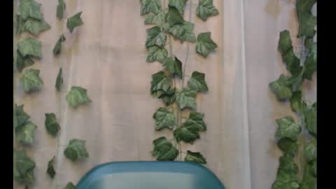 linda online show from September 2025 03:02:01 PM