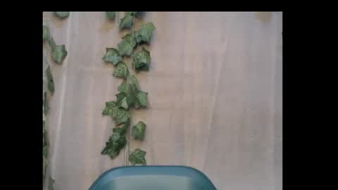 linda online show from October 2025 09:59:02 PM