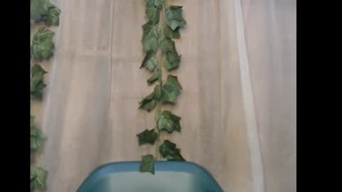 linda online show from January 2026 05:37:01 PM