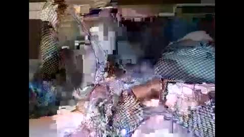 driver187 online show from December 2024 07:40:02 PM