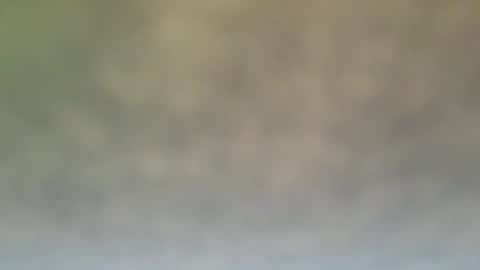 StraightStroker online show from December 2024 06:55:02 PM