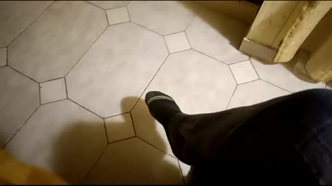 dthedog12 online show from February 2025 11:31:01 PM