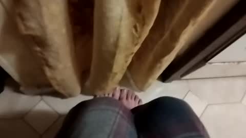 dthedog12 online show from October 2025 09:12:02 PM